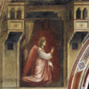 Da giovedì 5 dicembre, presso la Basilica di San Francesco, sarà possibile visionare alcuni dei capolavori di Giotto riprodotti tridimensionalmente. 